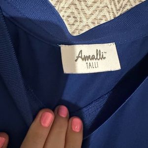 Amalli Talli Sheer Tank - Blue
